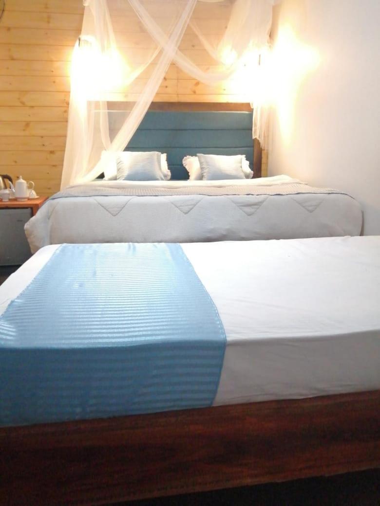 Ella Foret Accommodation Exteriér fotografie